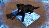 CoolPets Dog Mat 24/7 Anti-Slip Cover