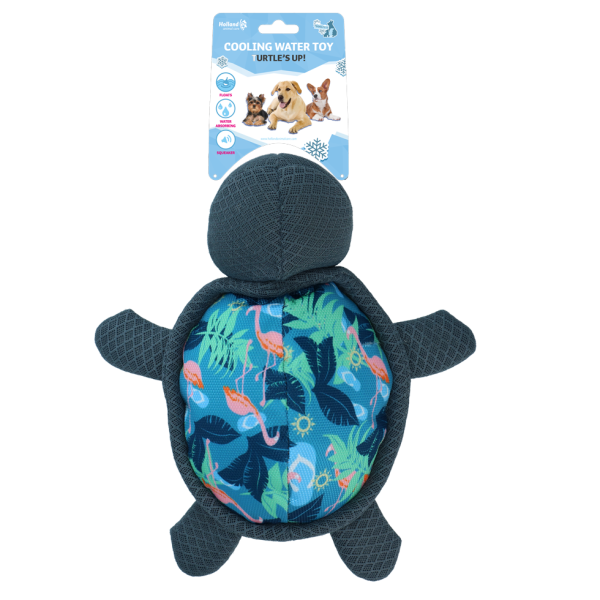 CoolPets Turtles Up