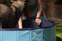 CoolPets Splash Dog Pool