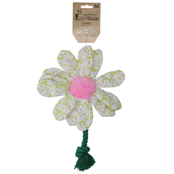 Garden Paws Flower Spring Sakura