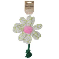 Garden Paws Flower Spring Sakura