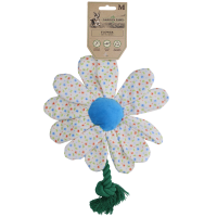 Garden Paws Flower Sky Flowers