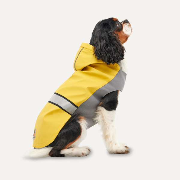 Goo-eez Reflective Hooded Raincoat Gelb/Grau