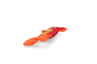 Hozies Jeffrey Jungle