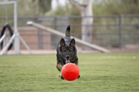 Jolly Soccer Ball S (15 cm)