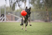 Jolly Soccer Ball S (15 cm)