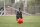 Jolly Soccer Ball S (15 cm)