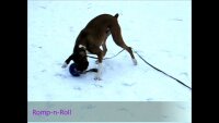 Jolly Romp-n-Roll M (15 cm)