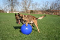 Jolly Push-n-Play XL (35 cm)
