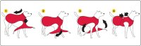 Dog Armor Knockdown Coat (Insect Shield)