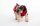 Dog Armor Knockdown Coat (Insect Shield)