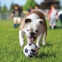 KONG Sport Balls Assorti