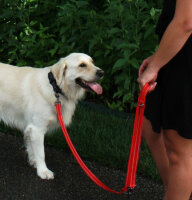 KONG Adjustable Leash Schwarz