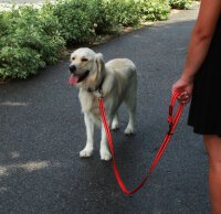 KONG Adjustable Leash Schwarz