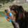 KONG CoreStrength Bone