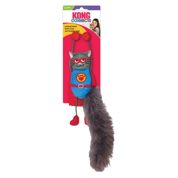 KONG Connects
