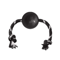 KONG Extreme