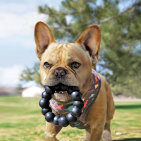 KONG