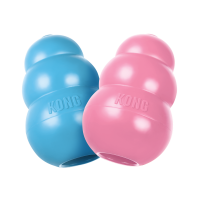 KONG Puppy Assorti