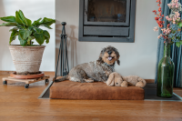 Lets Sleep Mellow Mattress Orthopädisches Bett
