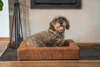 Lets Sleep Comfy Cushion Hundekorb