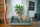 Lets Sleep Cozy Basket Weidenkorb Für Hunde Anthrazit