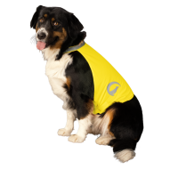 Nightwalk Safety Vest