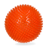Oranje WK