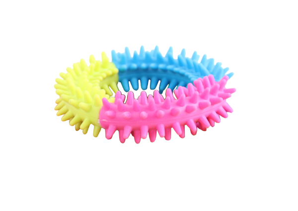 Pawise Rainbow World Ring