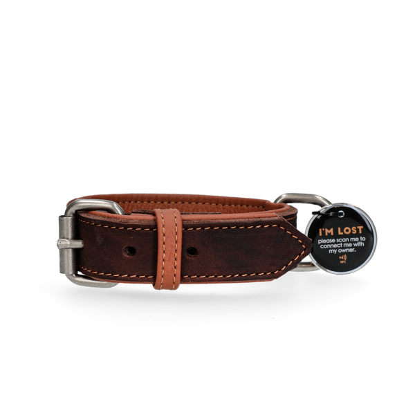 Spotted! Pro Lederhalsband 3 x 65 cm