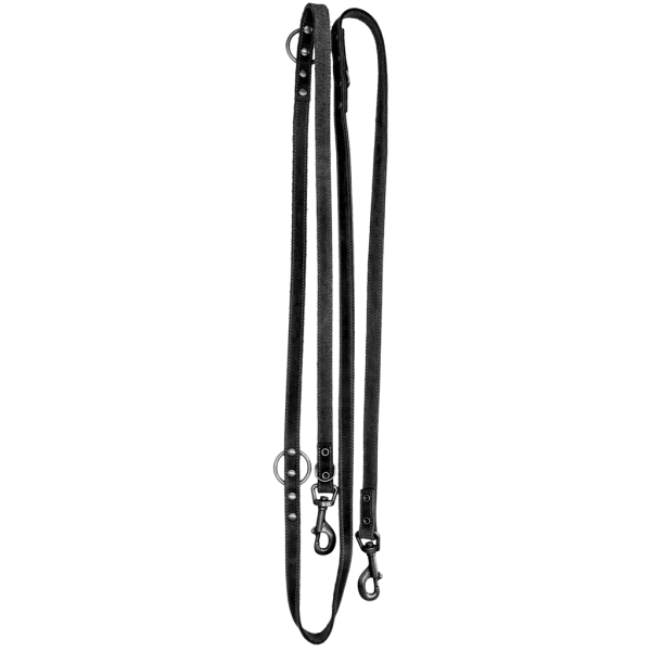 Spotted! Pro Leder Trainingsleine