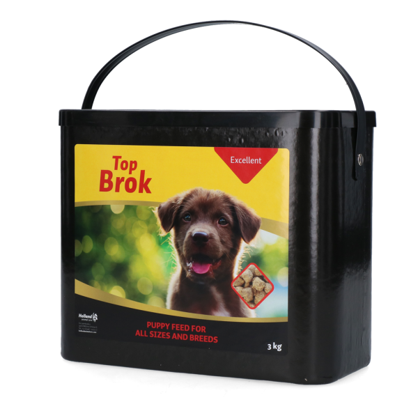 Topbrok Excellent Puppy