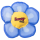 Yeowww! Daisys Flower Tops