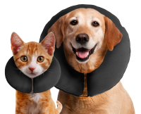 Zenpet ProCollar