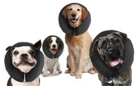Zenpet ProCollar