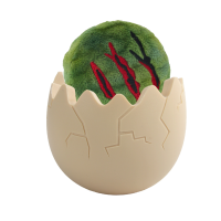 AFP My T-Rex Paw Scratch Dino