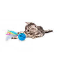 AFP Modern Cat Dizzy Spinner