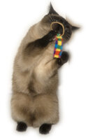 Cat Dancer Ring Tail Chasers (2-Pack)