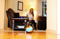 Chuckit! Indoor Shaker