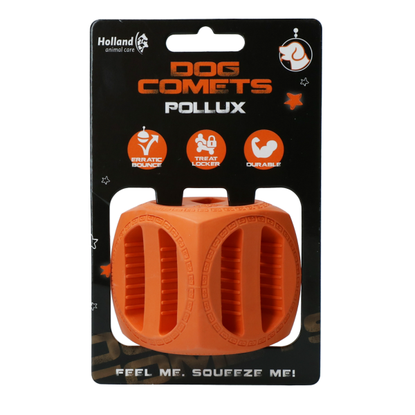 Dog Comets Pollux Orange