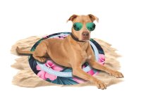 CoolPets Tropical Premium Cooling Mat Flower
