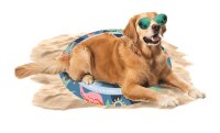 CoolPets Tropical Premium Cooling Mat Flamingo