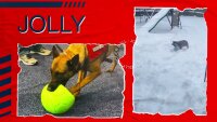 Jolly Soccer Ball Orange/Weiß XXS (7,5cm)