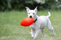 Jolly Football Vanille