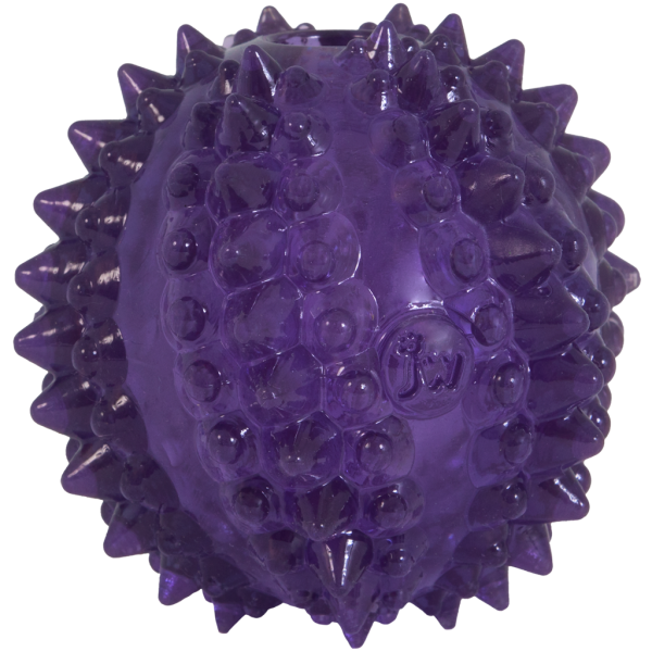 JW Puppy - Bristl-ee Cactus Ball