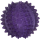 JW Puppy - Bristl-ee Cactus Ball