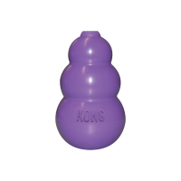 KONG Kitty KONG