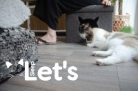 Lets sleep Pet Cube Helles/Dunkelgrau