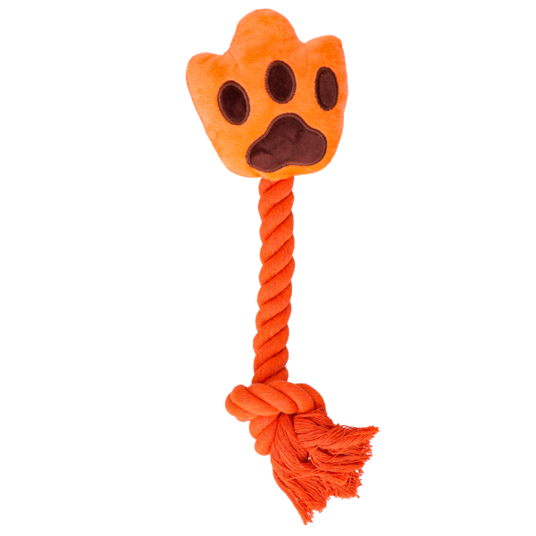 Oranje WK High Five