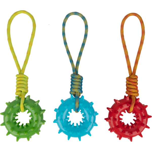 Pawise Play-N-Tug Ring With Handle
